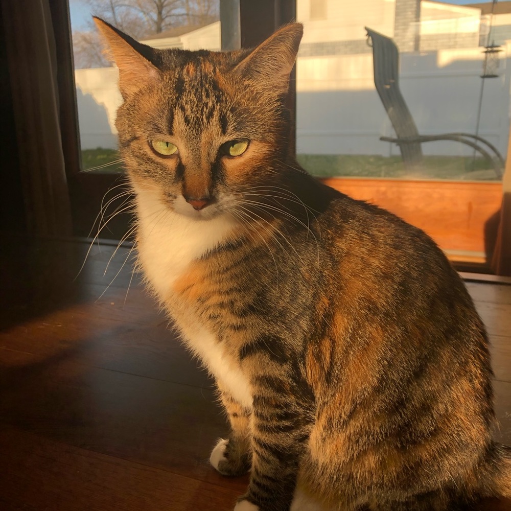 Meet your Posher, Steph